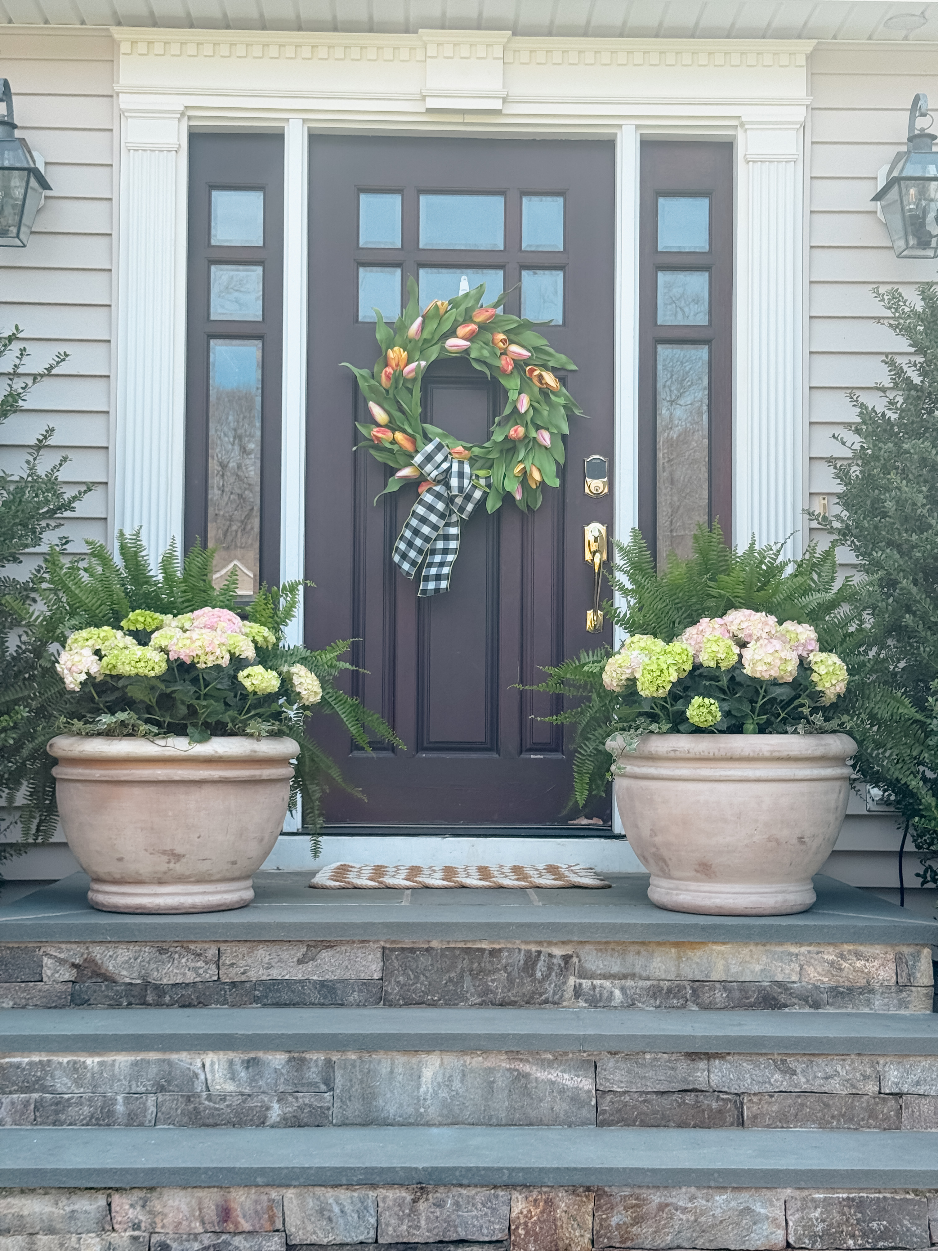 Hydrangeas in a terracotta pot at the front door