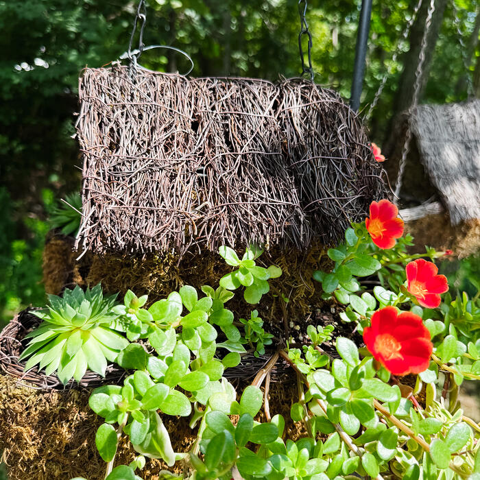 A moss and twig birdhouse hanging outdoors, planted with sedum and red portulaca.