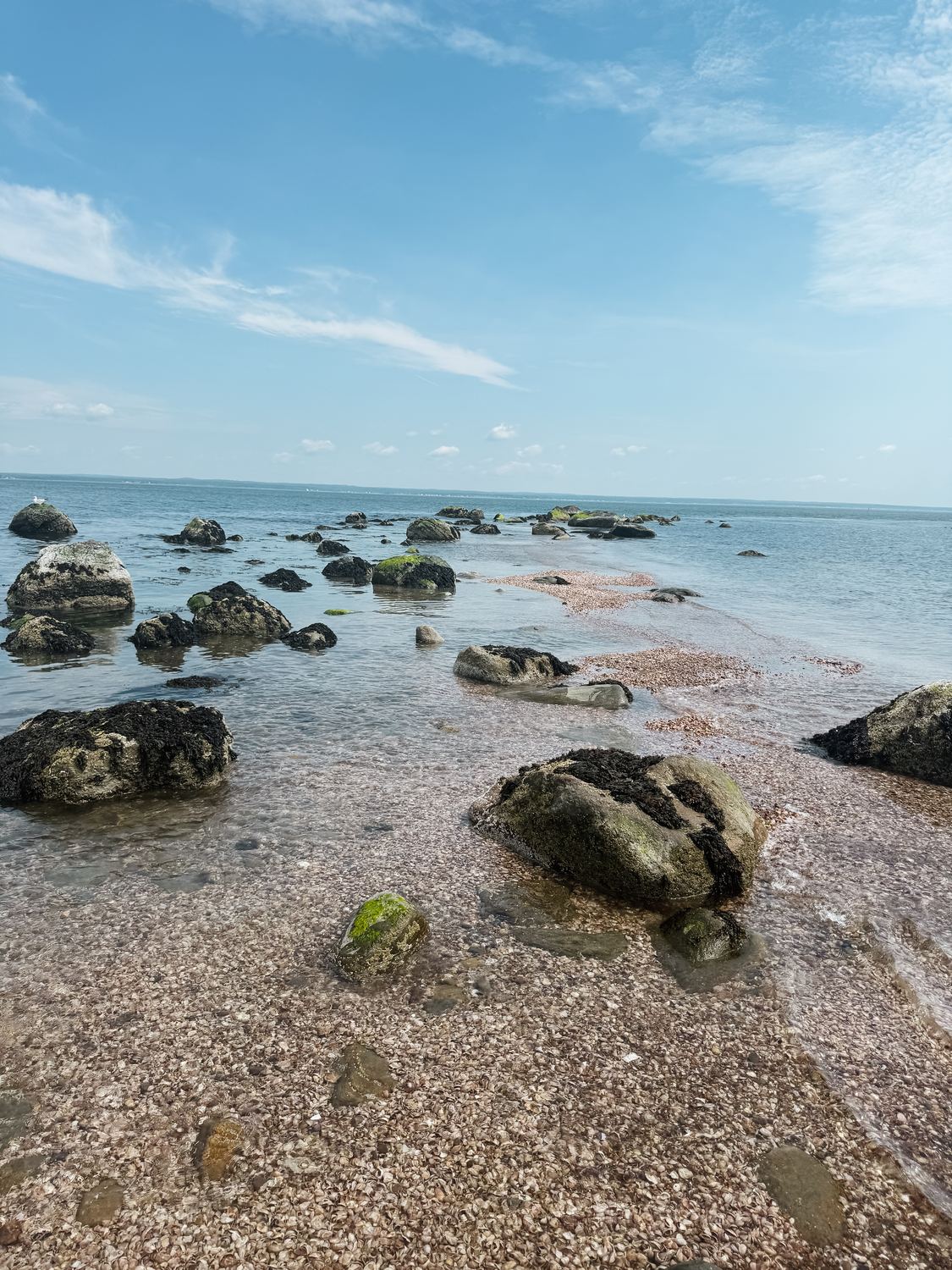 The rocky shoreline of Long Island Sound on a summer afternoon.