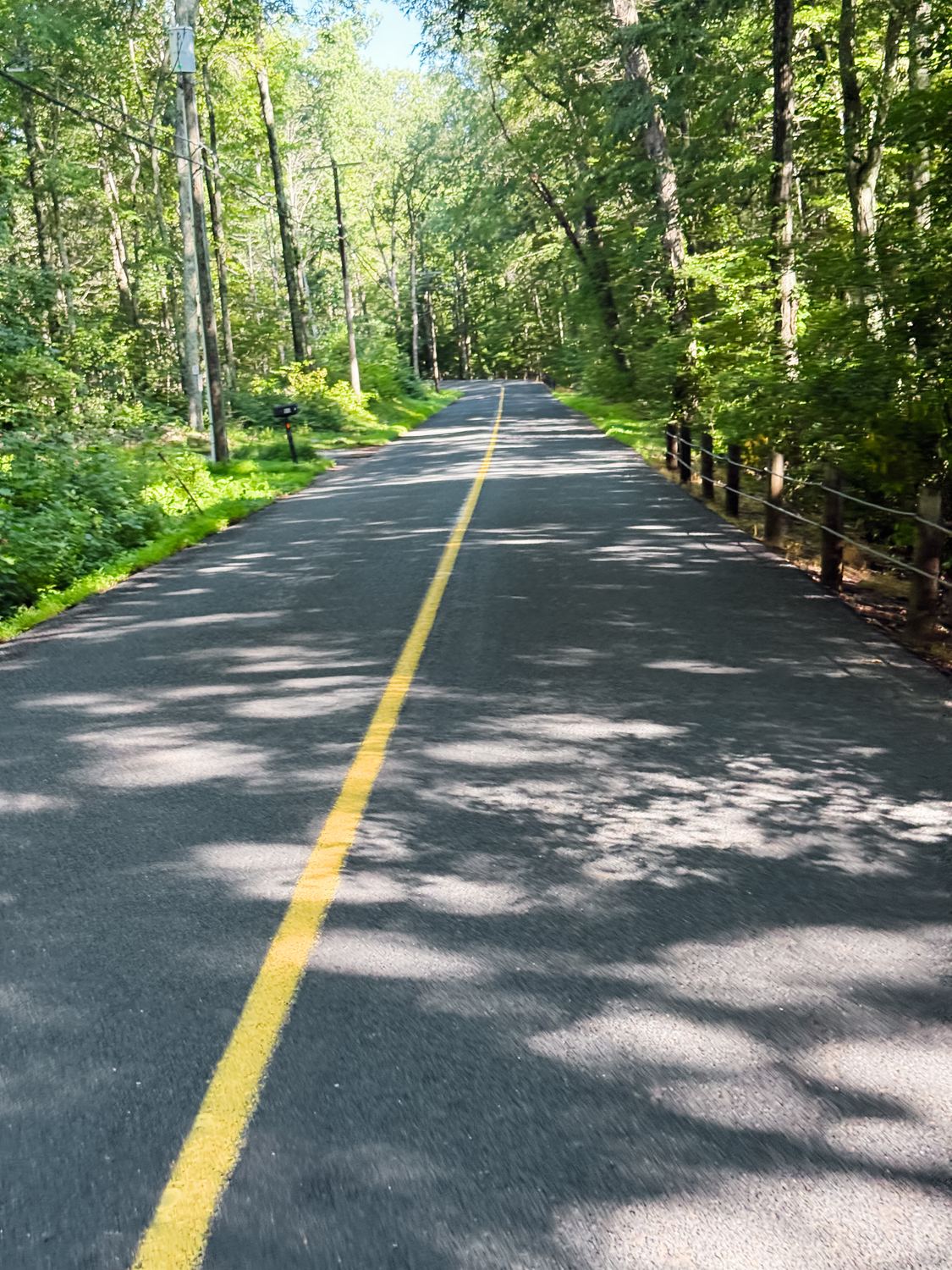 An empty back road under trees early on a summer morning.