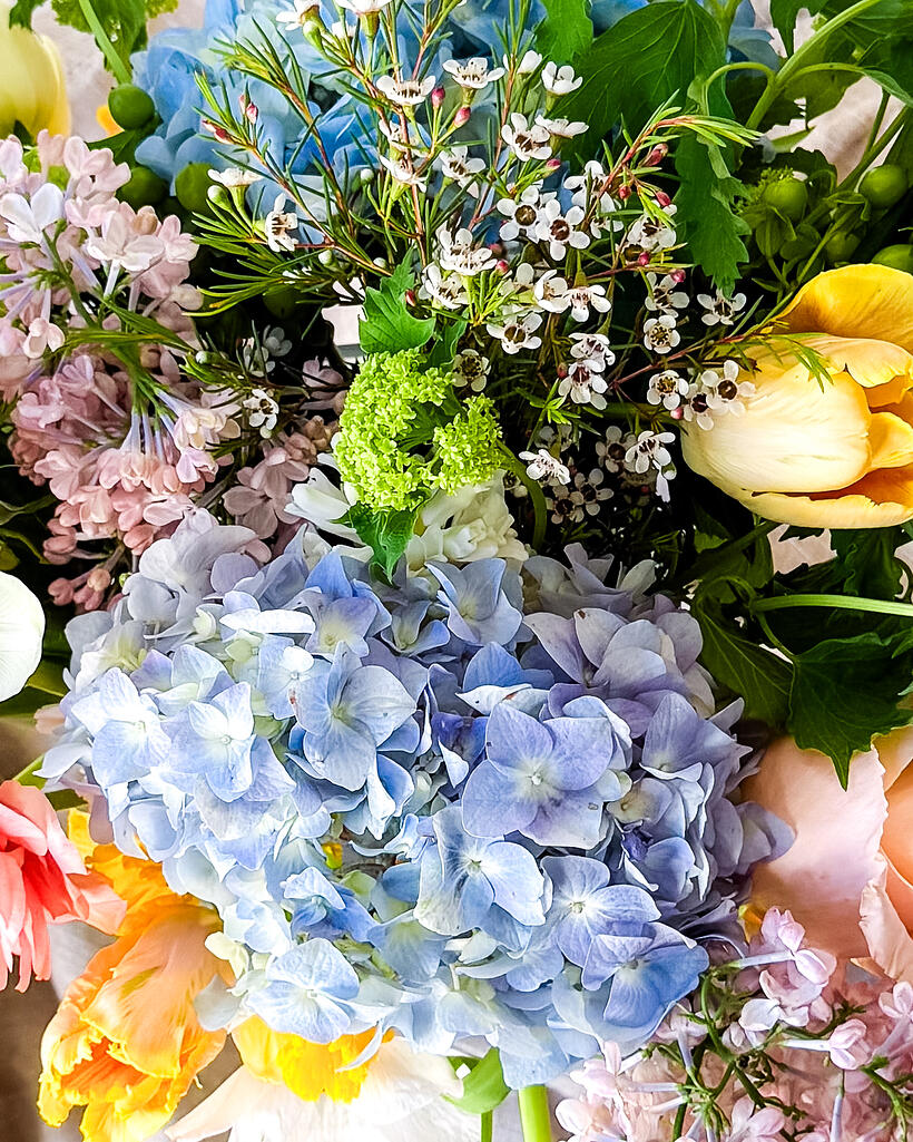 A close view of hydrangea, ranunculus, lilac and tulips in a spring arrangement.